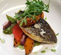 Barramundi