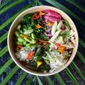 Pokebowl forel