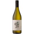fles Sanziana wit
