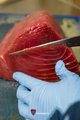 Sashimi Tonijn 100 gram