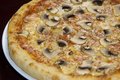 Funghi