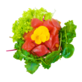 S5. Tonijn salade