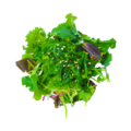 S7. Wakame salade