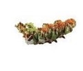 33. dragon roll