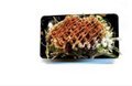 44. Gebakken zalm salade