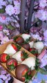 CHOCOLATE STRAWBERRY