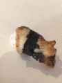 Unagi nigiri