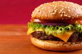 Hamburger speciaal (rund)
