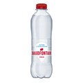 CHAUDFONTAINE ROOD 50CL
