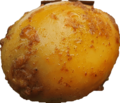 Kerrie ei