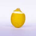 Frozen Lemon