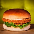 Crispy Chicky