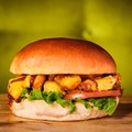 Meister's chicky