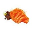 Salmon sashimi