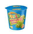 Pirulo Kaktus 4 friends