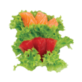 Sashimi zalm / tonijn