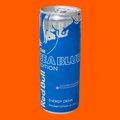Red Bull Energy Drink Sea Blue Edition 250ml