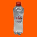 Spa rood