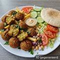 Falafel menu