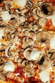 Funghi Rosso