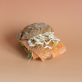 Zalm Speciaal