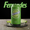 FERNANDES GROEN