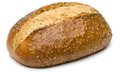 Spelt meerzaden vloertje (desem)