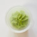 Wasabi