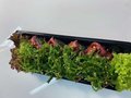 Meat wakame roll