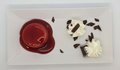 Panna Cotta Bosvruchten