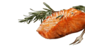 Gebakken zalmmoot naturel