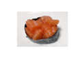 25. Sake