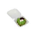 Swiss roll Matcha