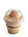 VIRAL Vanilla Biscoff Dot Cake