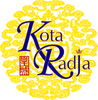 Kota Radja