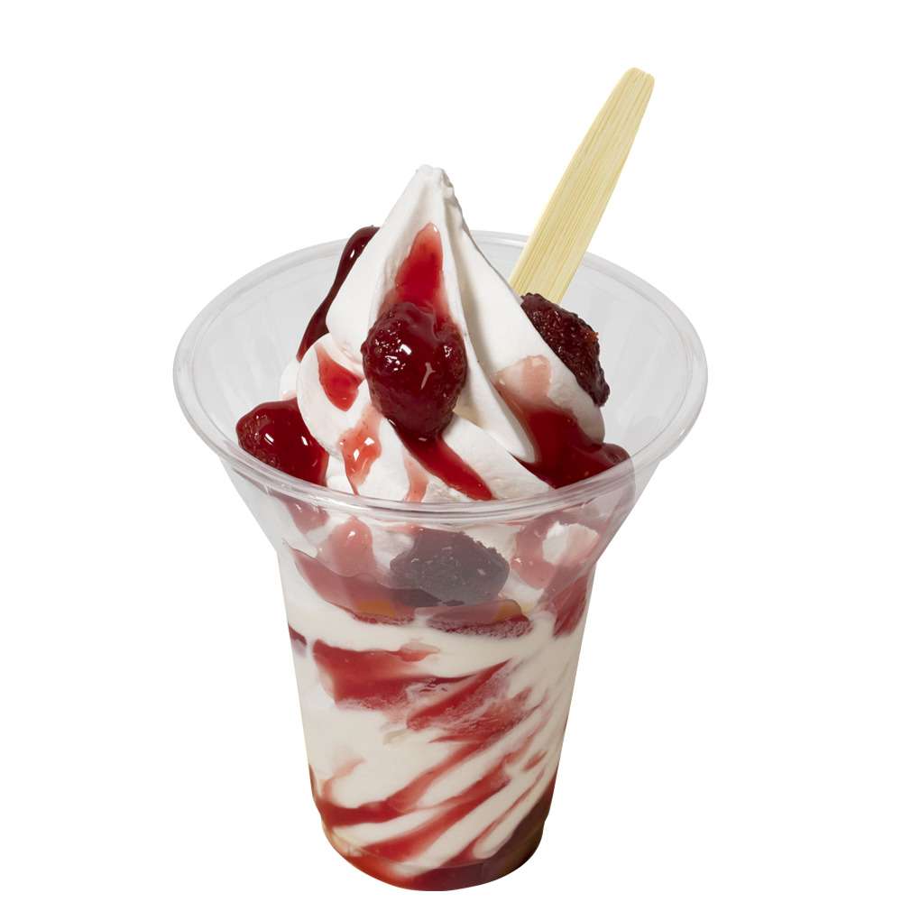 Sorbets
