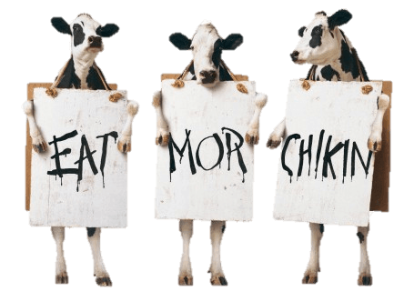 Kip snacks / loempia