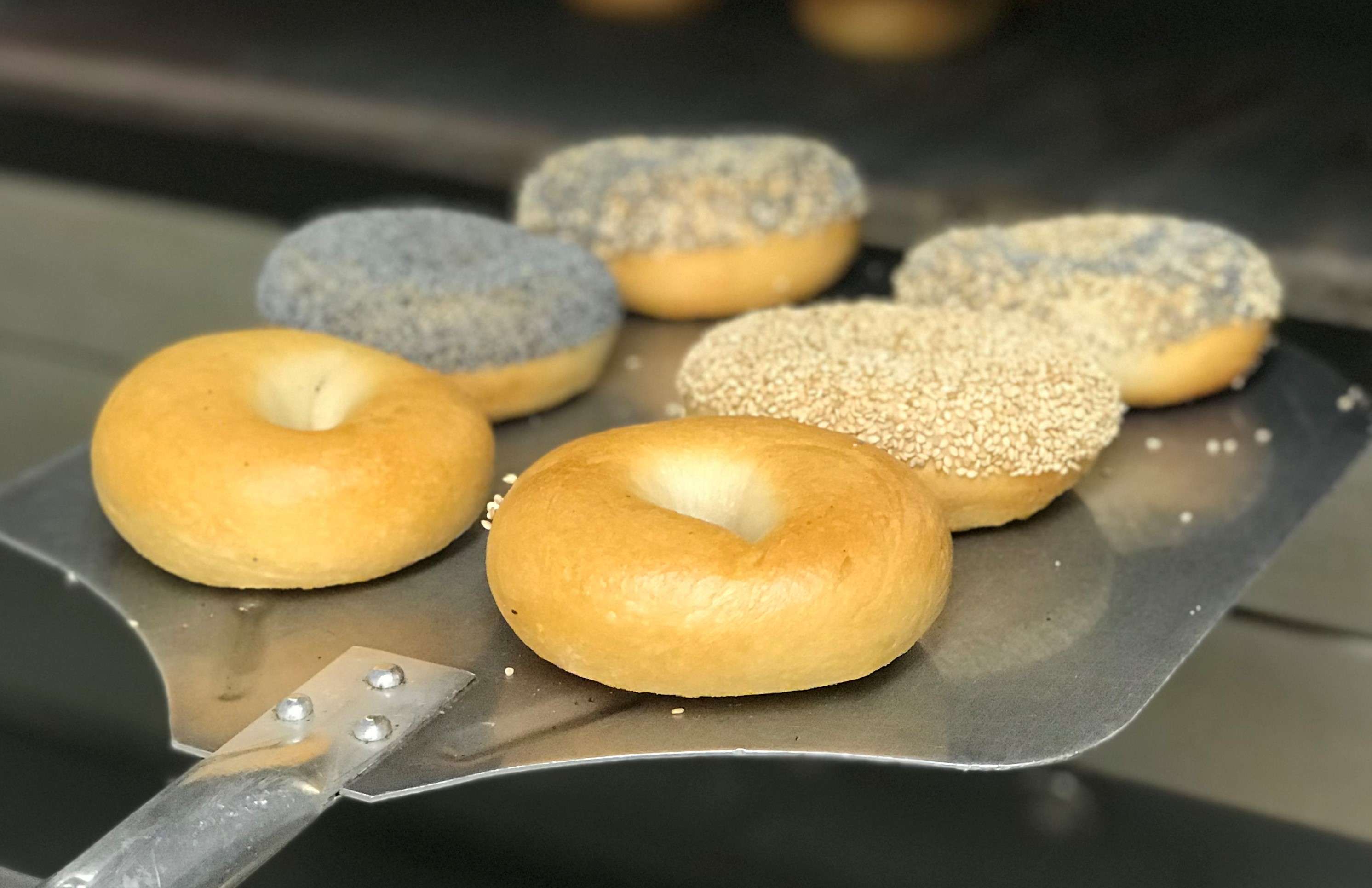 Just Bagels