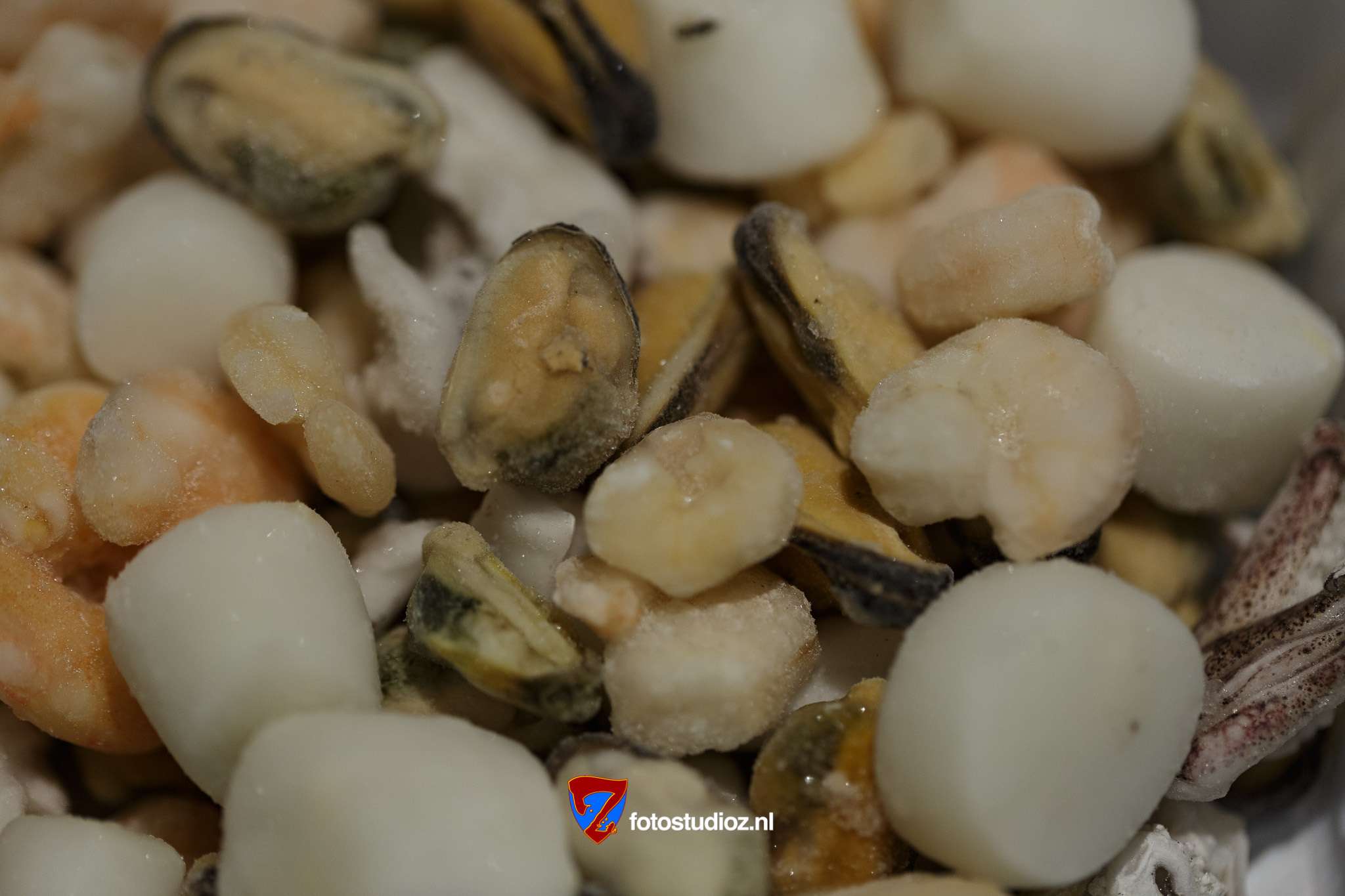 Schaal en Schelpdieren