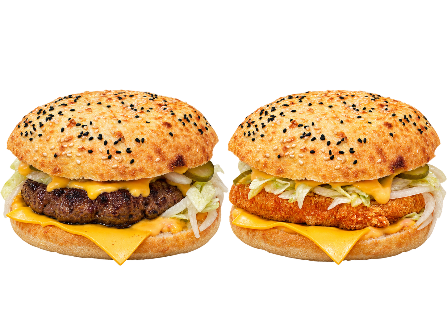 Beef & Chicken Hamburgers